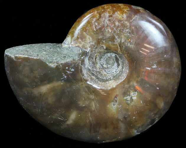 Flashy Red Iridescent Ammonite - Wide #59906